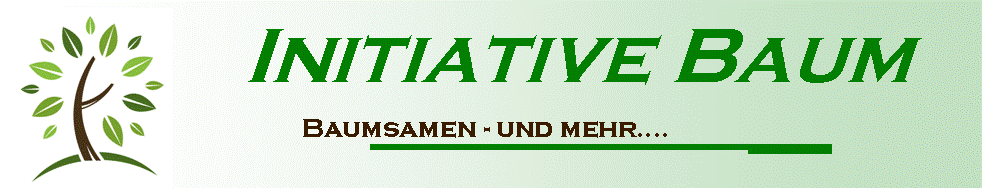 Baumsamen & mehr Baumsamen & mehr