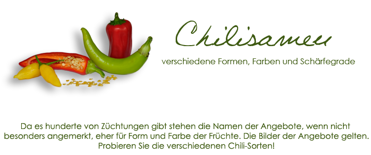 Chilisamen