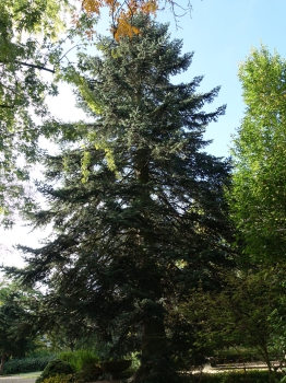 Preview: Erscheinungsbild